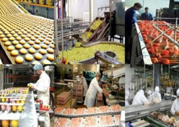 Tunisie : organisation du 1er Colloque franco-tunisien des Industries Agroalimentaires le 12 septembre 2018