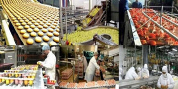 Tunisie : organisation du 1er Colloque franco-tunisien des Industries Agroalimentaires le 12 septembre 2018