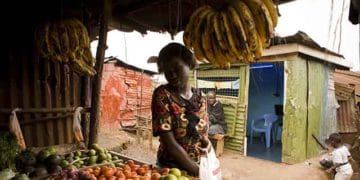 Forum nutrition afrique