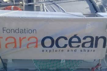 Tunisie :  À bord de la   Goélette scientifique  « TARA scientifique », société civile et acteurs économiques mobilisés contre la pollution plastique en Méditerranée