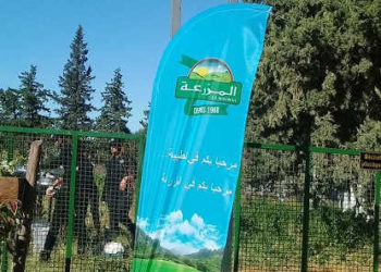 Tunisie : El Mazraa,  filiale de Poulina Group Holding lance le poulet fermier (en vidéo)