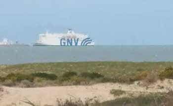 Tunisie : la GNV entre dans le port de la Goulette après l&rsquo;interdiction des voyages maritimes des questions qui se posent??
