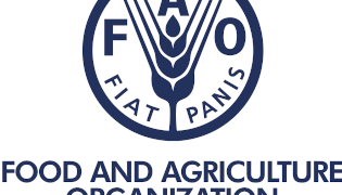 La FAO lance une initiative innovante de formations en ligne durant le confinement