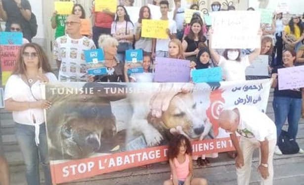 Tunisie : La société civile  proteste pour dénoncer le massacre sauvage des chiens dans un refuge à Djerba
