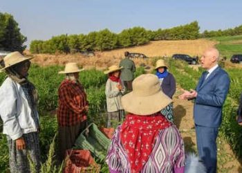 Tunisie : A l’occasion de la fête nationale de la Femme, kais saied rend hommage aux femmes ouvrières agricoles