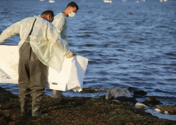 Tunisie : Le bilan grimpe à 13 morts et 9 disparus dans un Naufrage de migrants