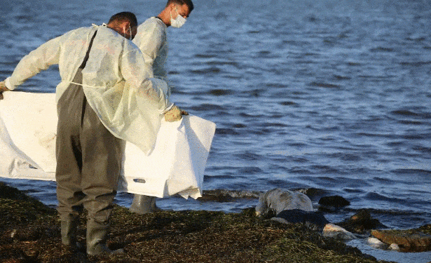 Tunisie : Le bilan grimpe à 13 morts et 9 disparus dans un Naufrage de migrants