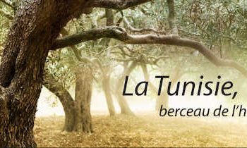 La Tunisie garde son rang de premier exportateur mondial d’huile d’olive en volume hors UE
