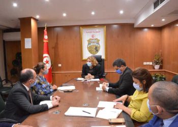 Tunisie : Soutien de la Banque allemande de développement au  secteur de l&rsquo;énergie et des énergies renouvelables en Tunisie