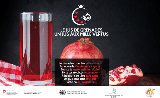 Tunisie : L&rsquo;accès au marché, au cœur de la démarche du projet  PAMPAT