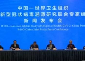 Covid-19 : L&rsquo;animal à l&rsquo;origine du coronavirus n’est pas « identifié » selon l&rsquo;équipe internationale d&rsquo;experts chinois et de l&rsquo;OMS