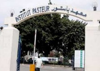 Tunisie : l’Institut Pasteur de Tunis  sélectionné   parmi   16   candidatures au programme  de  développement  du  corps  professoral  junior