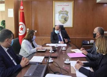 Tunisie : Suivi de l&rsquo;activité de la société Tunisienne de Sidérurgie « El Fouladh »