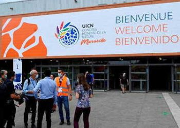 France : Le congrès mondial de la nature s&rsquo;ouvre  à Marseille pour rattraper le manque d&rsquo;actions climatiques