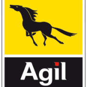 Tunisie : Le chef de l&rsquo;Etat limoge le président directeur général de la de la Société nationale de distribution des pétroles – (SNDP) AGI, Nabil Smida