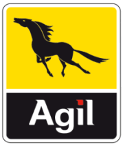 Tunisie : Le chef de l&rsquo;Etat limoge le président directeur général de la de la Société nationale de distribution des pétroles – (SNDP) AGI, Nabil Smida