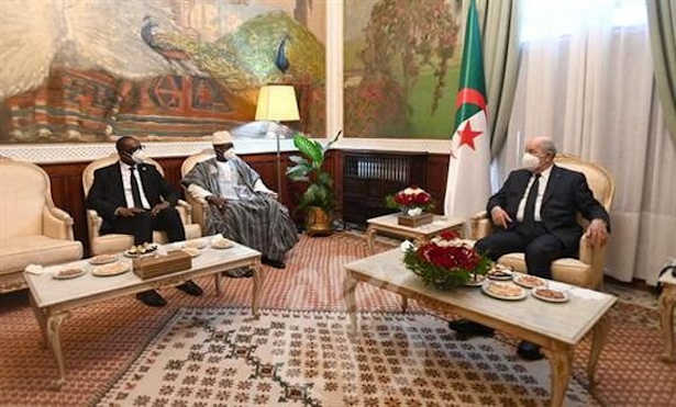 Algérie : Le président Tebboune reçoit les chefs de délégations de pays africains et arabes