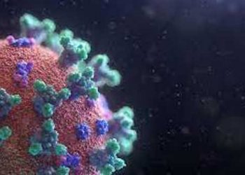 Coronavirus : le nouveau variant classé « préoccupant » et nommé « Omicron »
