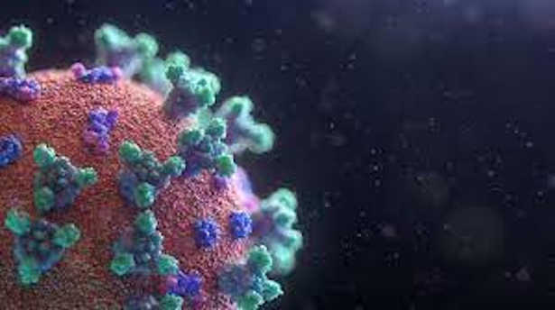 Coronavirus : le nouveau variant classé « préoccupant » et nommé « Omicron »