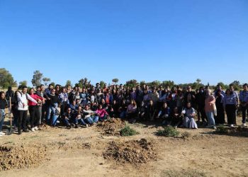 Tunisie : L’Université Centrale lance l’opération « plantons des arbres : Un étudiant = un arbre ».