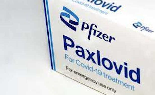 Coronavirus : PAXLOVID, le nouveau traitement Anti-Covid de Pfizer