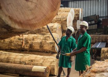 Afrique : La Facilité Investissements pour l’emploi lancera un appel à propositions de projets régionaux aux Côte d’Ivoire, Ghana, Rwanda, Sénégal et Tunisie