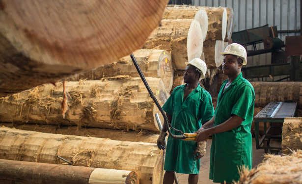 Afrique : La Facilité Investissements pour l’emploi lancera un appel à propositions de projets régionaux aux Côte d’Ivoire, Ghana, Rwanda, Sénégal et Tunisie