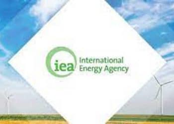 Energie :L’Agence internationale de l&rsquo;énergie défend le droit de l’Afrique d’exploiter son gaz pour une période transitoire