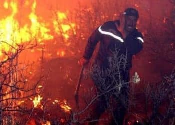 Algérie : 26 morts, dans les incendies aux Wilayas d’el Tarn et Sétif