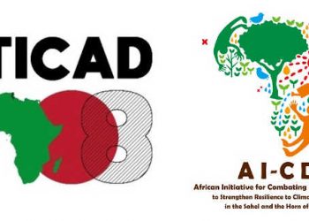 Tunisie: Le Premier ministre Japonais assiste à la TICAD 08