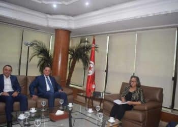 Tunisie : La ministre de l’industrie  reçoit le directeur général du groupe mondial de l’industrie  automobile et des véhicules électriques DFSK