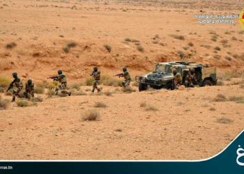 Tunisie : 53 010 comprimés stupéfiants interceptés par l’armée dans la zone tampon