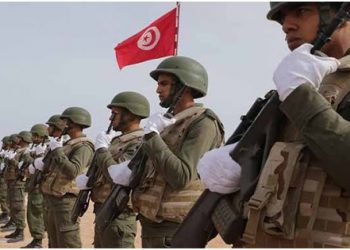 Classement des puissances militaires africaines 2023 selon le Global Fire Power : La Tunisie  classée 9è à l&rsquo;échelle  africaine