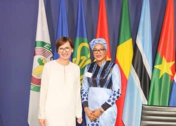 Energies Renouvelables : L&rsquo;Allemagne veut approfondir les partenariats climatiques et énergétiques avec les pays africains 