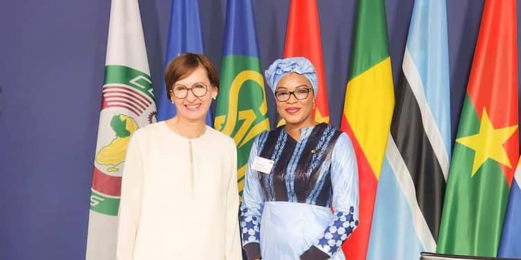 Energies Renouvelables : L&rsquo;Allemagne veut approfondir les partenariats climatiques et énergétiques avec les pays africains 