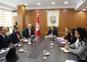 Tunisie : Suivi de l&rsquo;exécution  du projet d&rsquo;appui aux jeunes via l&rsquo;adoption de l&rsquo;initiative de l&rsquo;industrie 4.0 en Tunisie  et Côte d&rsquo;Ivoire