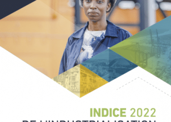 Afrique : Classement 2022 des économies africaines les plus industrialisées selon la BAD