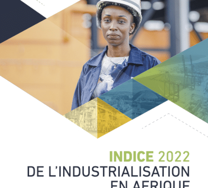 Afrique : Classement 2022 des économies africaines les plus industrialisées selon la BAD