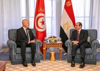Tunisie : Kaïs Saïed s&rsquo;entretient  avec le président  égyptien à Djeddah