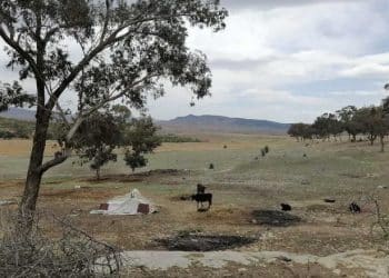 Tunisie : Récupération de 228 hectares de terrains domaniaux agricoles à Zaghouan