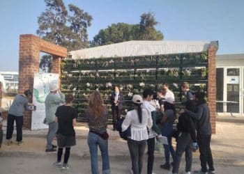 Tunisie : Le mur végétal, un système de traitement des eaux grises en vue de leur valorisation en milieu urbain