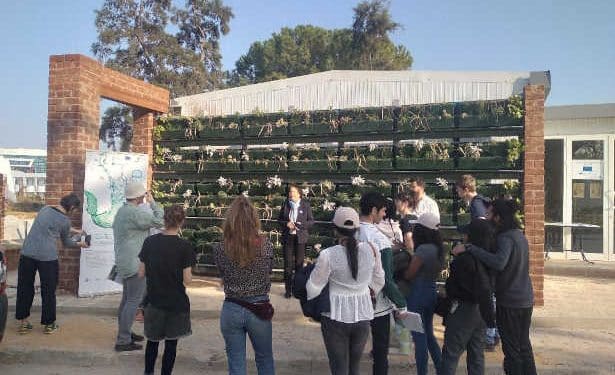 Tunisie : Le mur végétal, un système de traitement des eaux grises en vue de leur valorisation en milieu urbain