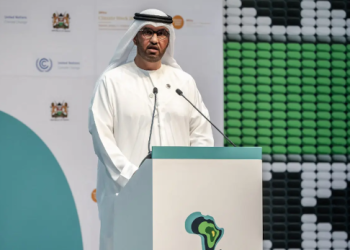 Sommet sur le climat : Les Emirats Arabes Unis promettent d&rsquo;investir dans les énergies propres en Afrique