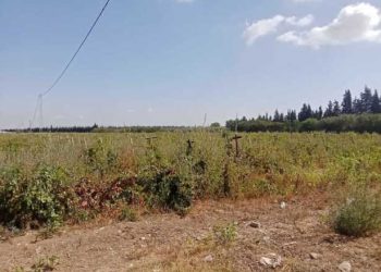 Tunisie : L’État récupère une propriété agricole internationale d’une superficie de 117 hectares dans le gouvernorat de Nabeul