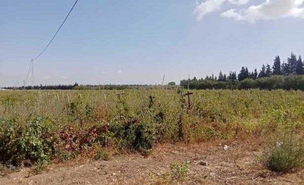 Tunisie : L’État récupère une propriété agricole internationale d’une superficie de 117 hectares dans le gouvernorat de Nabeul