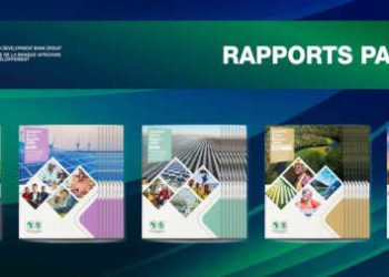 COP 28:  La Banque africaine de développement lance des rapports par pays sur les besoins de financement des changements climatiques et de la croissance verte en Afrique