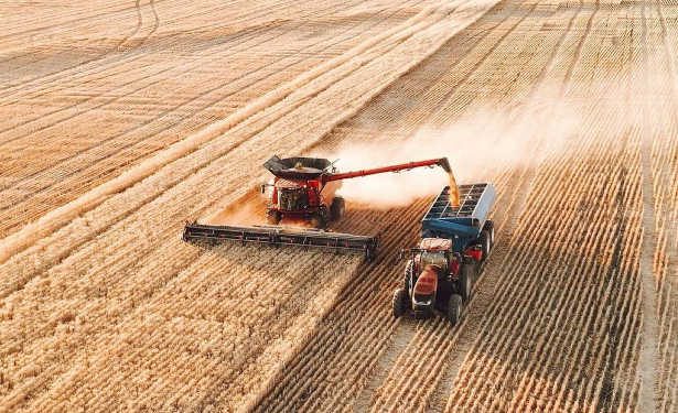 Tunisie : 412 000 tonnes de céréales russes ont été importées par la Tunisie depuis le début de la campagne commerciale 2023/2024