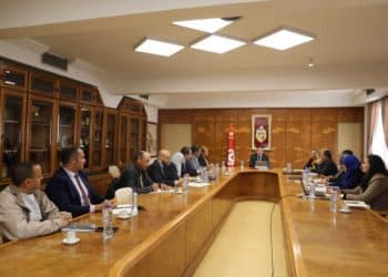 Tunisie : Évaluation du système de transport terrestre en Tunisie et définition des objectifs prioritaires dans ce domaine