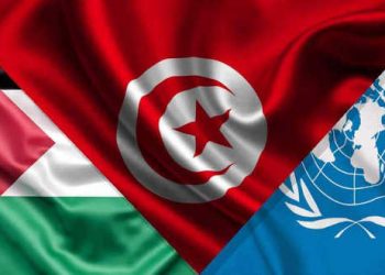 Tunisie : La Tunisie figure sur la liste des pays devant entendre les plaidoiries devant la Cour internationale de Justice