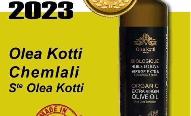 Tunisie : L’huile d’olive tunisienne en conserve continue de briller sur la scène  internationale